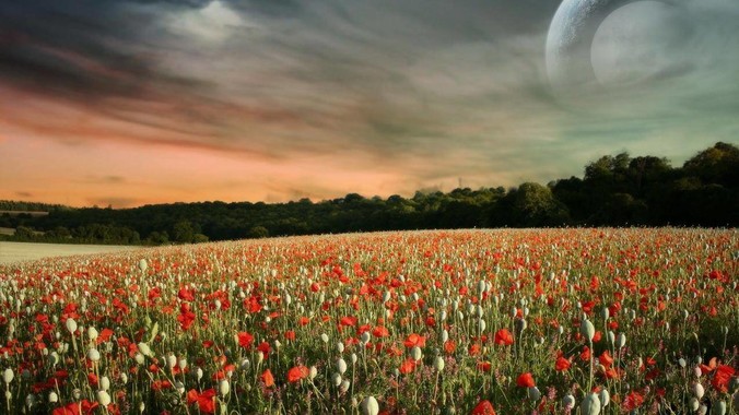 如何看待 Three.js / WebGL 等前端 3D 技术？